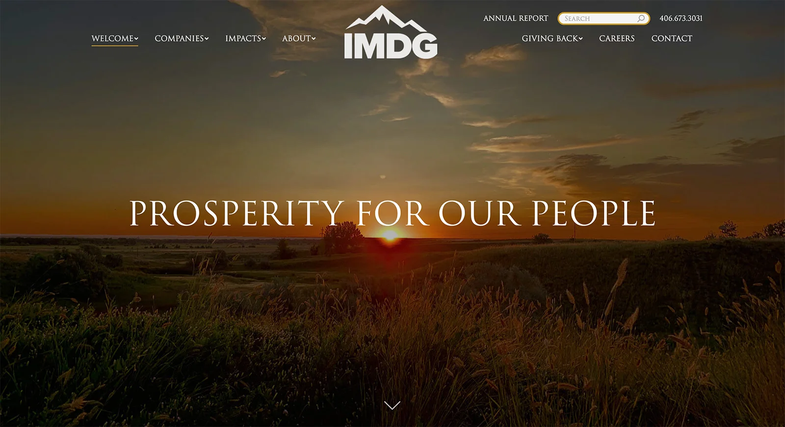 imdg homepage